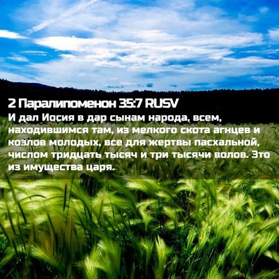 Picture 02 - 2 Паралипоменон 35:7 RUSV - И дал Иосия в дар сынам - Bible Verse Picture