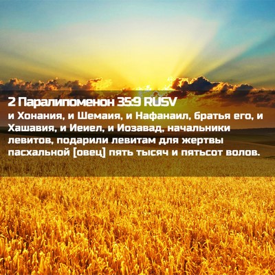 Picture 02 - 2 Паралипоменон 35:9 RUSV - и Хонания, и Шемаия, и - Bible Verse Picture