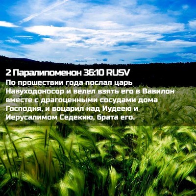 Picture 02 - 2 Паралипоменон 36:10 RUSV - По прошествии года послал - Bible Verse Picture