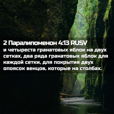 Picture 02 - 2 Паралипоменон 4:13 RUSV - и четыреста гранатовых - Bible Verse Picture