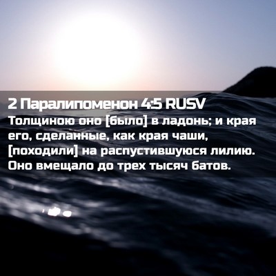 Picture 02 - 2 Паралипоменон 4:5 RUSV - Толщиною оно [было] в - Bible Verse Picture