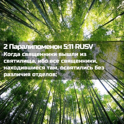 Picture 02 - 2 Паралипоменон 5:11 RUSV - Когда священники вышли из - Bible Verse Picture