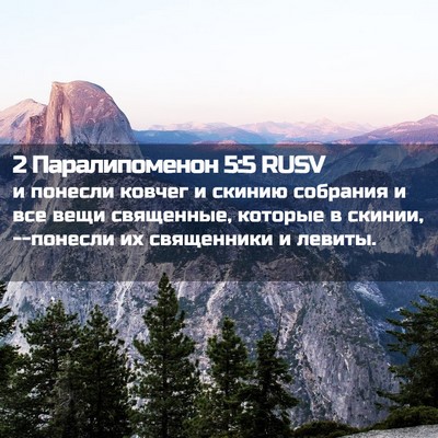 Picture 02 - 2 Паралипоменон 5:5 RUSV - и понесли ковчег и скинию - Bible Verse Picture
