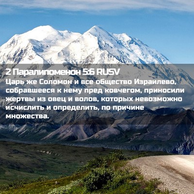Picture 02 - 2 Паралипоменон 5:6 RUSV - Царь же Соломон и все - Bible Verse Picture