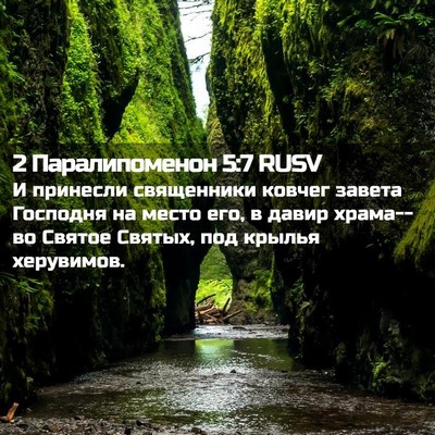 Picture 02 - 2 Паралипоменон 5:7 RUSV - И принесли священники - Bible Verse Picture