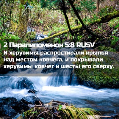 Picture 02 - 2 Паралипоменон 5:8 RUSV - И херувимы распростирали - Bible Verse Picture