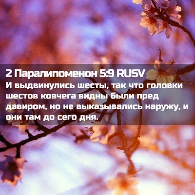 Picture 02 - 2 Паралипоменон 5:9 RUSV - И выдвинулись шесты, так - Bible Verse Picture
