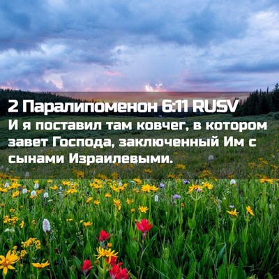 Picture 02 - 2 Паралипоменон 6:11 RUSV - И я поставил там ковчег, в - Bible Verse Picture
