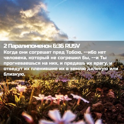 Picture 02 - 2 Паралипоменон 6:36 RUSV - Когда они согрешат пред - Bible Verse Picture