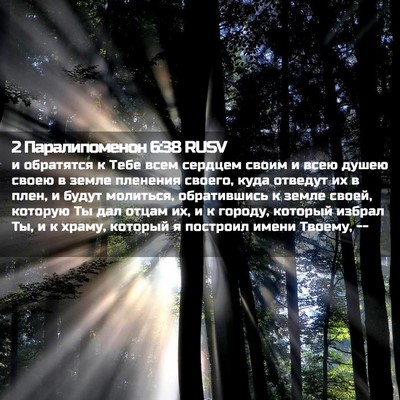 Picture 02 - 2 Паралипоменон 6:38 RUSV - и обратятся к Тебе всем - Bible Verse Picture