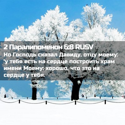 Picture 02 - 2 Паралипоменон 6:8 RUSV - Но Господь сказал Давиду, - Bible Verse Picture