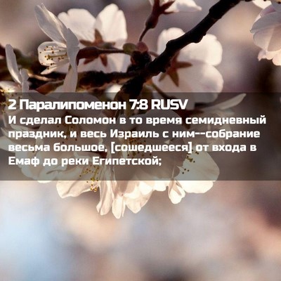 Picture 02 - 2 Паралипоменон 7:8 RUSV - И сделал Соломон в то время - Bible Verse Picture