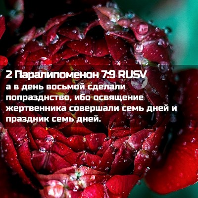 Picture 02 - 2 Паралипоменон 7:9 RUSV - а в день восьмой сделали - Bible Verse Picture