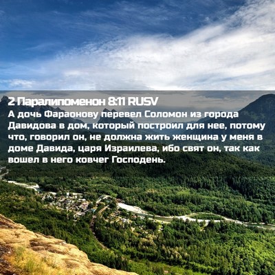 Picture 02 - 2 Паралипоменон 8:11 RUSV - А дочь Фараонову перевел - Bible Verse Picture