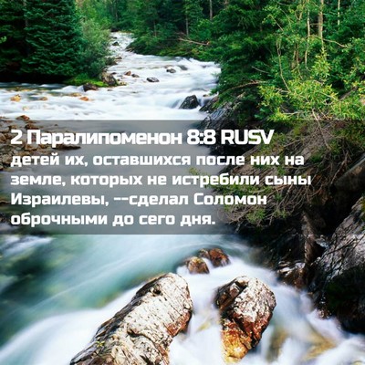 Picture 02 - 2 Паралипоменон 8:8 RUSV - детей их, оставшихся после - Bible Verse Picture