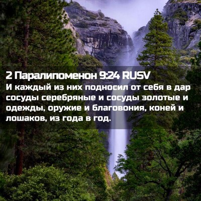 Picture 02 - 2 Паралипоменон 9:24 RUSV - И каждый из них подносил от - Bible Verse Picture