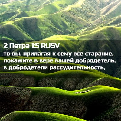 Picture 02 - 2 Петра 1:5 RUSV - то вы, прилагая к сему все - Bible Verse Picture