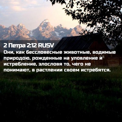 Picture 02 - 2 Петра 2:12 RUSV - Они, как бессловесные - Bible Verse Picture