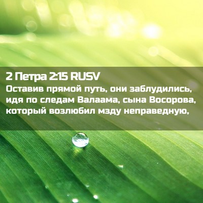 Picture 02 - 2 Петра 2:15 RUSV - Оставив прямой путь, они - Bible Verse Picture