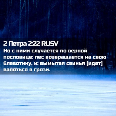 Picture 02 - 2 Петра 2:22 RUSV - Но с ними случается по - Bible Verse Picture