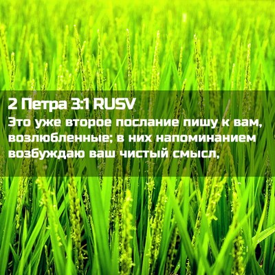 Picture 02 - 2 Петра 3:1 RUSV - Это уже второе послание - Bible Verse Picture