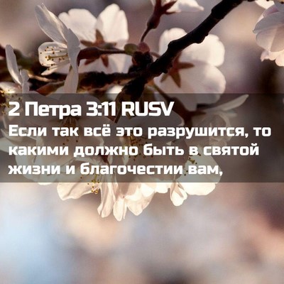 Picture 02 - 2 Петра 3:11 RUSV - Если так всё это - Bible Verse Picture