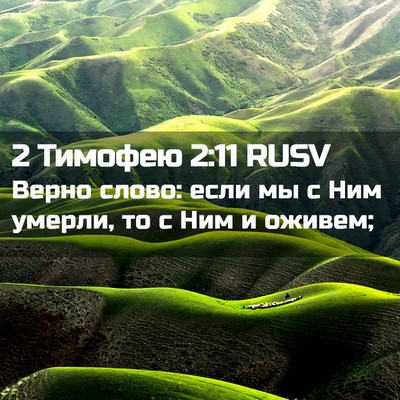 Picture 02 - 2 Тимофею 2:11 RUSV - Верно слово: если мы с Ним - Bible Verse Picture