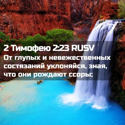 Picture 02 - 2 Тимофею 2:23 RUSV - От глупых и невежественных - Bible Verse Picture