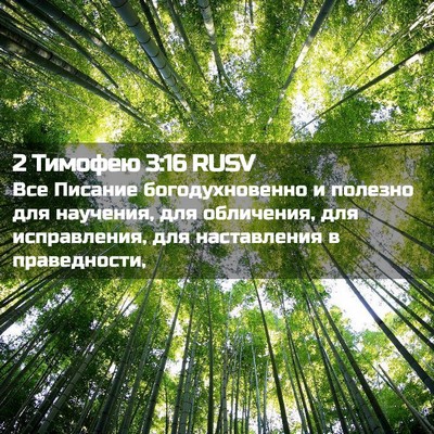 Picture 02 - 2 Тимофею 3:16 RUSV - Все Писание - Bible Verse Picture