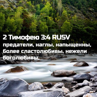 Picture 02 - 2 Тимофею 3:4 RUSV - предатели, наглы, - Bible Verse Picture