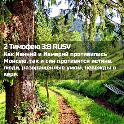 Picture 02 - 2 Тимофею 3:8 RUSV - Как Ианний и Иамврий - Bible Verse Picture