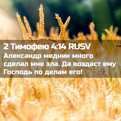 Picture 02 - 2 Тимофею 4:14 RUSV - Александр медник много - Bible Verse Picture
