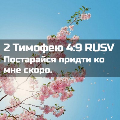 Picture 02 - 2 Тимофею 4:9 RUSV - Постарайся придти ко мне - Bible Verse Picture