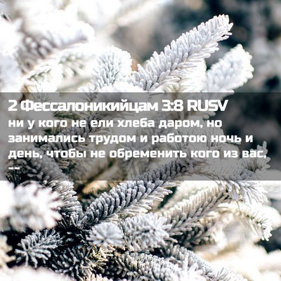 Picture 02 - 2 Фессалоникийцам 3:8 RUSV - ни у кого не ели хлеба - Bible Verse Picture