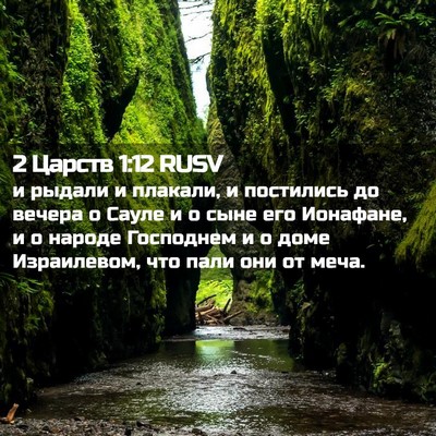 Picture 02 - 2 Царств 1:12 RUSV - и рыдали и плакали, и - Bible Verse Picture