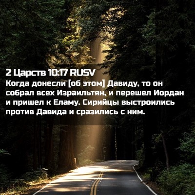 Picture 02 - 2 Царств 10:17 RUSV - Когда донесли [об этом] - Bible Verse Picture