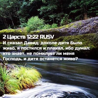 Picture 02 - 2 Царств 12:22 RUSV - И сказал Давид: доколе дитя - Bible Verse Picture