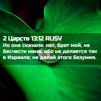 Picture 02 - 2 Царств 13:12 RUSV - Но она сказала: нет, брат - Bible Verse Picture