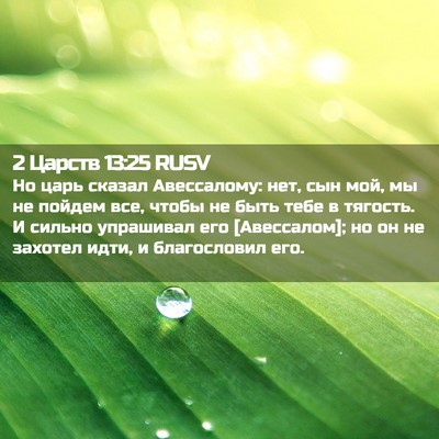 Picture 02 - 2 Царств 13:25 RUSV - Но царь сказал Авессалому: - Bible Verse Picture
