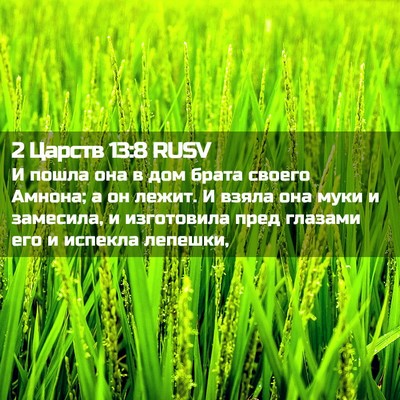 Picture 02 - 2 Царств 13:8 RUSV - И пошла она в дом брата - Bible Verse Picture