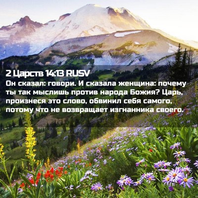 Picture 02 - 2 Царств 14:13 RUSV - Он сказал: говори. И - Bible Verse Picture