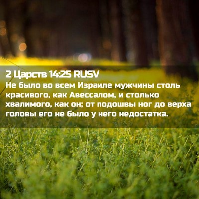 Picture 02 - 2 Царств 14:25 RUSV - Не было во всем Израиле - Bible Verse Picture