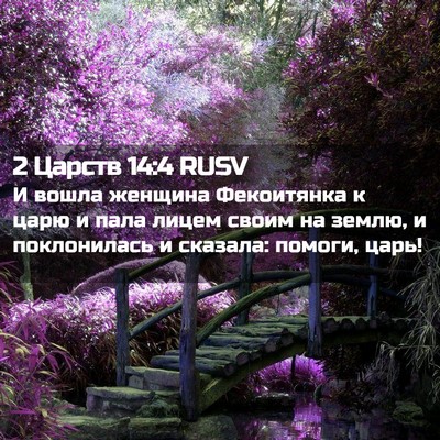 Picture 02 - 2 Царств 14:4 RUSV - И вошла женщина Фекоитянка - Bible Verse Picture