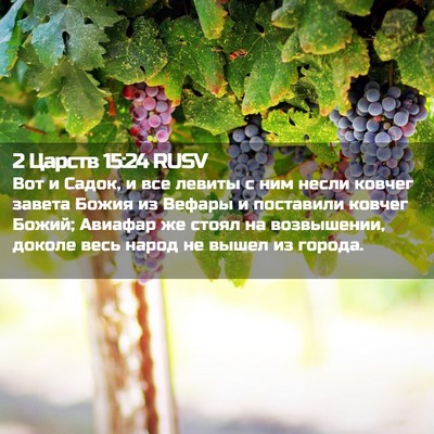 Picture 02 - 2 Царств 15:24 RUSV - Вот и Садок, и все левиты с - Bible Verse Picture