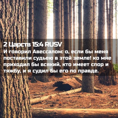 Picture 02 - 2 Царств 15:4 RUSV - И говорил Авессалом: о, - Bible Verse Picture