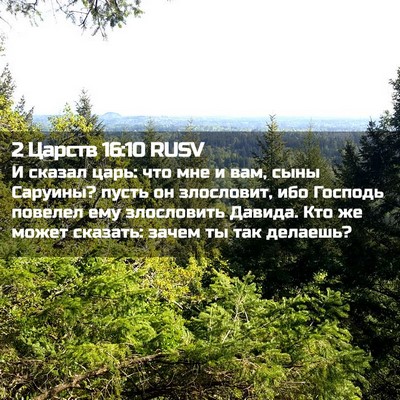 Picture 02 - 2 Царств 16:10 RUSV - И сказал царь: что мне и - Bible Verse Picture