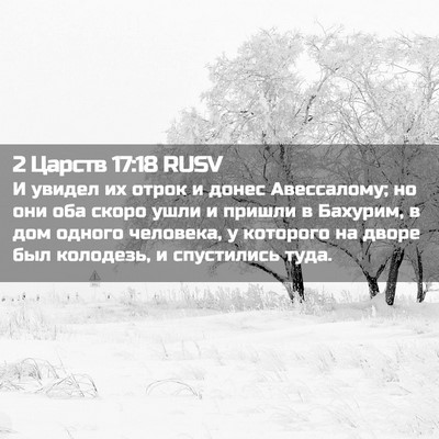 Picture 02 - 2 Царств 17:18 RUSV - И увидел их отрок и донес - Bible Verse Picture