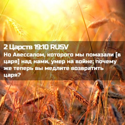 Picture 02 - 2 Царств 19:10 RUSV - Но Авессалом, которого мы - Bible Verse Picture