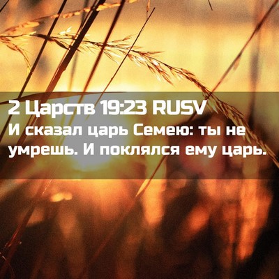 Picture 02 - 2 Царств 19:23 RUSV - И сказал царь Семею: ты не - Bible Verse Picture
