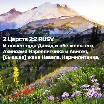 Picture 02 - 2 Царств 2:2 RUSV - И пошел туда Давид и обе - Bible Verse Picture
